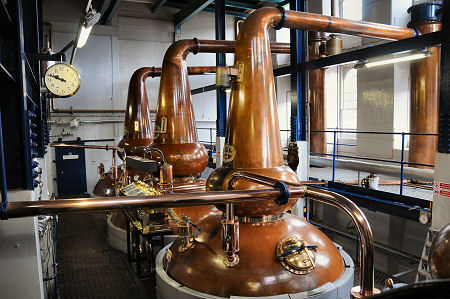The Still House