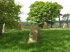 Five of the Stones