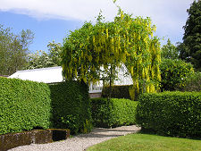 More of the Gardens